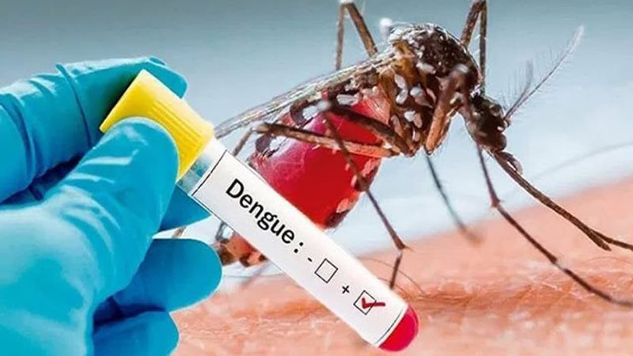 డెంగ్యూ వ్యాధి రెండవసారి వస్తే ప్రమాదకరమా.. డెంగ్యూ రాకుండా ఉండాలంటే ఏంచేయ్యలి ? డెంగ్యూ వ్యాధి రెండవసారి వస్తే ప్రమాదకరమా.. డెంగ్యూ రాకుండా ఉండాలంటే ఏంచేయ్యలి ?