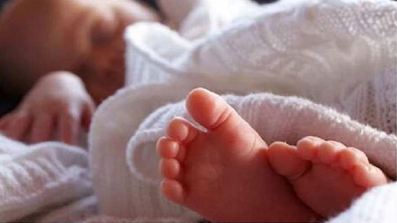 मां घर से गई थी बाहर, रो रही थी डेढ़ साल की बेटी, गुस्से में बाप ने पटकर मार डाला मां घर से गई थी बाहर, रो रही थी डेढ़ साल की बेटी, गुस्से में बाप ने पटकर मार डाला