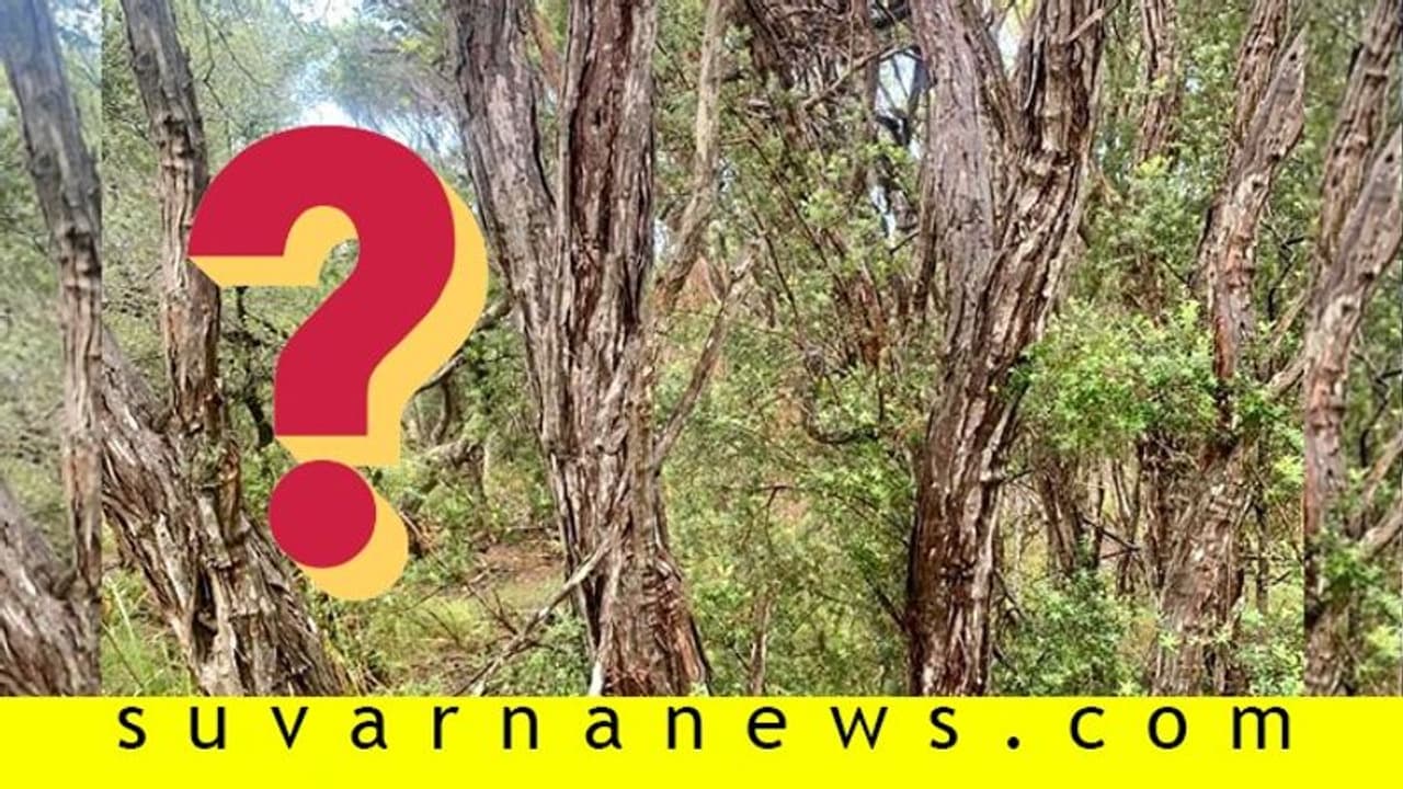 ಕಣ್ಣೆದುರೇ ಇದ್ರು ಕಾಣ್ಸಲ್ಲ....! ವೈರಲ್ ಆಗ್ತಿರೋ ಫೋಟೋದಲ್ಲಿ ಹಾವು ಹುಡುಕ್ಬಹುದಾ? ಕಣ್ಣೆದುರೇ ಇದ್ರು ಕಾಣ್ಸಲ್ಲ....! ವೈರಲ್ ಆಗ್ತಿರೋ ಫೋಟೋದಲ್ಲಿ ಹಾವು ಹುಡುಕ್ಬಹುದಾ?