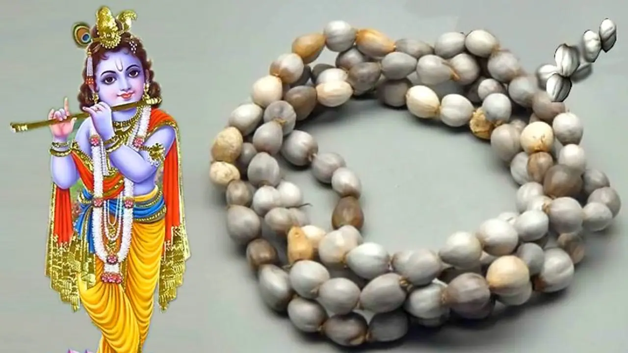 भगवान श्रीकृष्ण को प्रिय है वैजयंती माला, इनकी पूजा करते समय ध्यान रखें ये बातें भगवान श्रीकृष्ण को प्रिय है वैजयंती माला, इनकी पूजा करते समय ध्यान रखें ये बातें