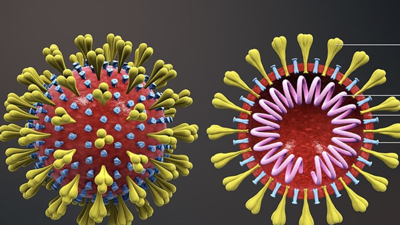 হাজার টাকার বিনিময় মাত্র ১০ মিনিটেই করোনা নির্ণয়, নতুন টেস্ট কিট তৈরি কেরলের সংস্থায়