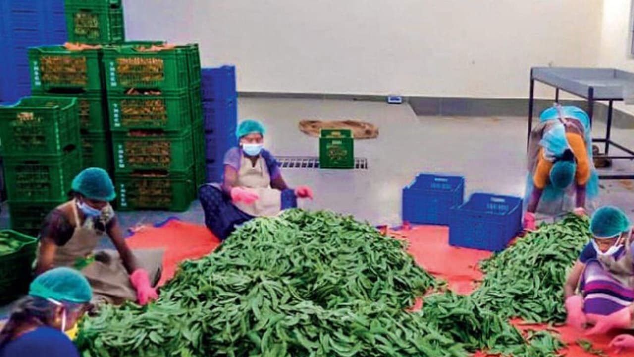 காய்கறி தட்டுப்பாட்டை போக்க களமிறங்கிய அரசு தோட்டக்கலை துறை..!! விதவிதமாக காய்களை பெற்று மகிழும் மக்கள்..!!