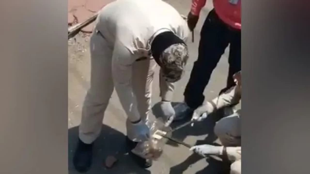 കൊറോണ വ്യാപകമായ പ്രദേശത്ത് റോഡില് നോട്ടുകള് വിതറിക്കിടക്കുന്ന നിലയില് കണ്ടെത്തി കൊറോണ വ്യാപകമായ പ്രദേശത്ത് റോഡില് നോട്ടുകള് വിതറിക്കിടക്കുന്ന നിലയില് കണ്ടെത്തി