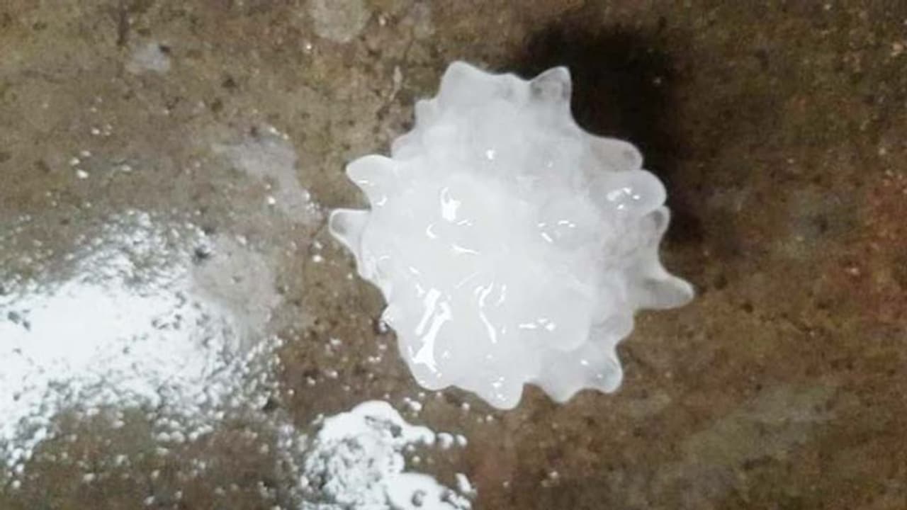 నెల్లూరులో ఢిల్లీ లింకుల కలకలం: కొత్తగా ఐదు కేసులు నమోదు నెల్లూరులో ఢిల్లీ లింకుల కలకలం: కొత్తగా ఐదు కేసులు నమోదు