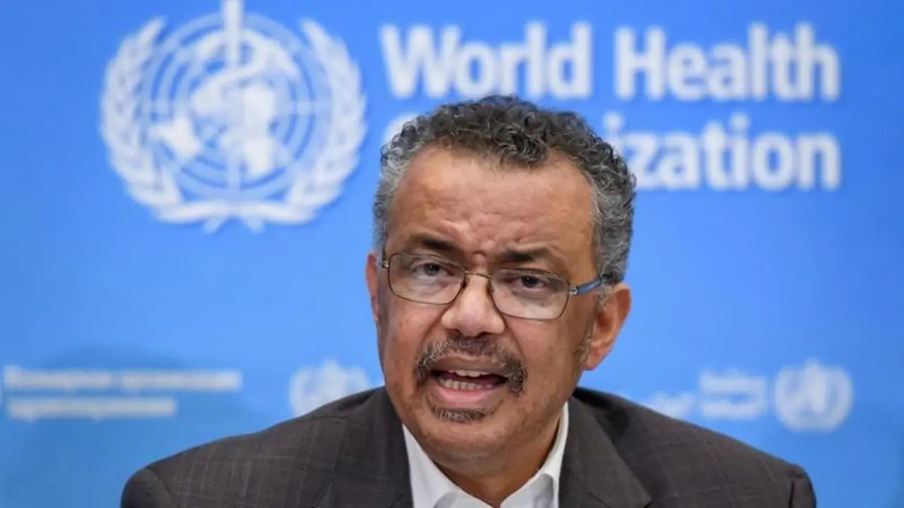 WHO investigators to scrap plans for interim report on probe of COVID 19 origins