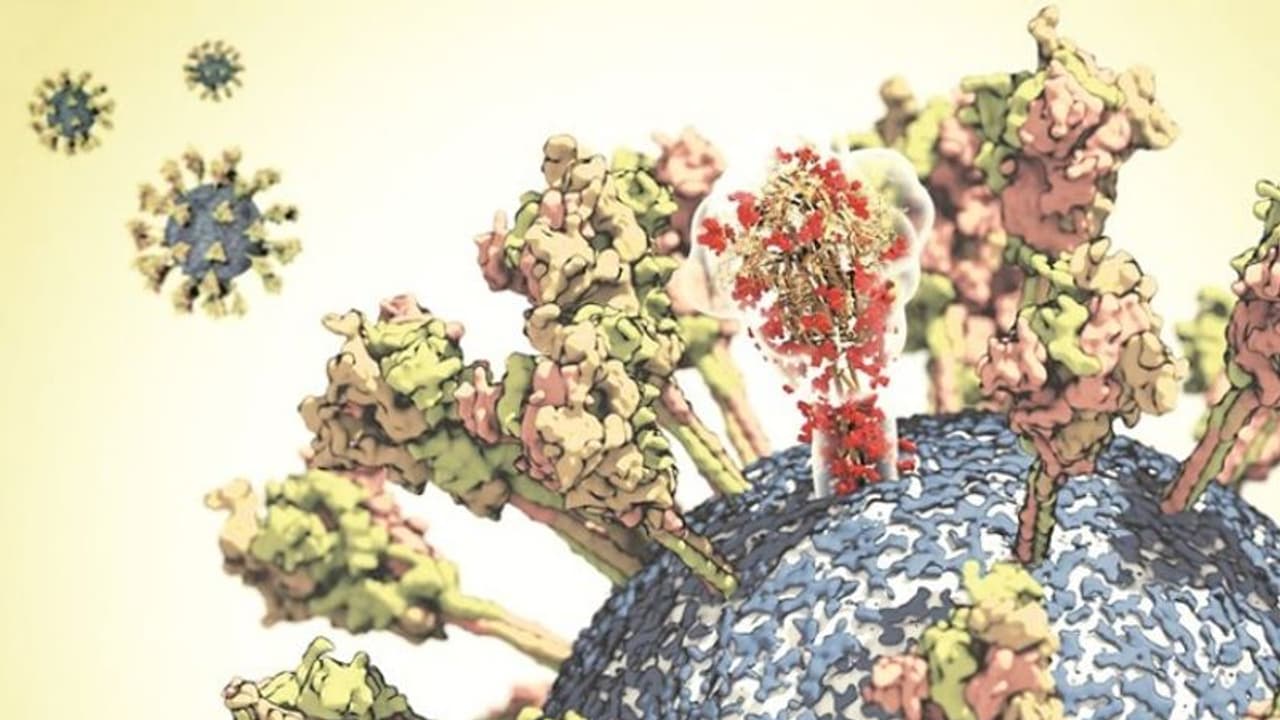 കൊവിഡ്: ലക്ഷണങ്ങള്‍ ഇല്ലാത്തവരില്‍ നിന്നും പകരുന്നു; ചൈനയുടെ പഠനം പറയുന്നത്...