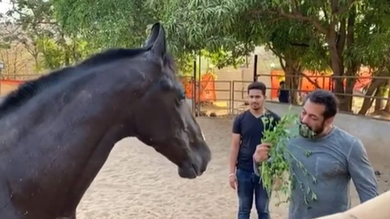 গ্যালাক্সি এখন যেন বিগ বস এর ঘর, কোয়ারেন্টাইন বদলে দিল সমীকরণ গ্যালাক্সি এখন যেন বিগ বস এর ঘর, কোয়ারেন্টাইন বদলে দিল সমীকরণ