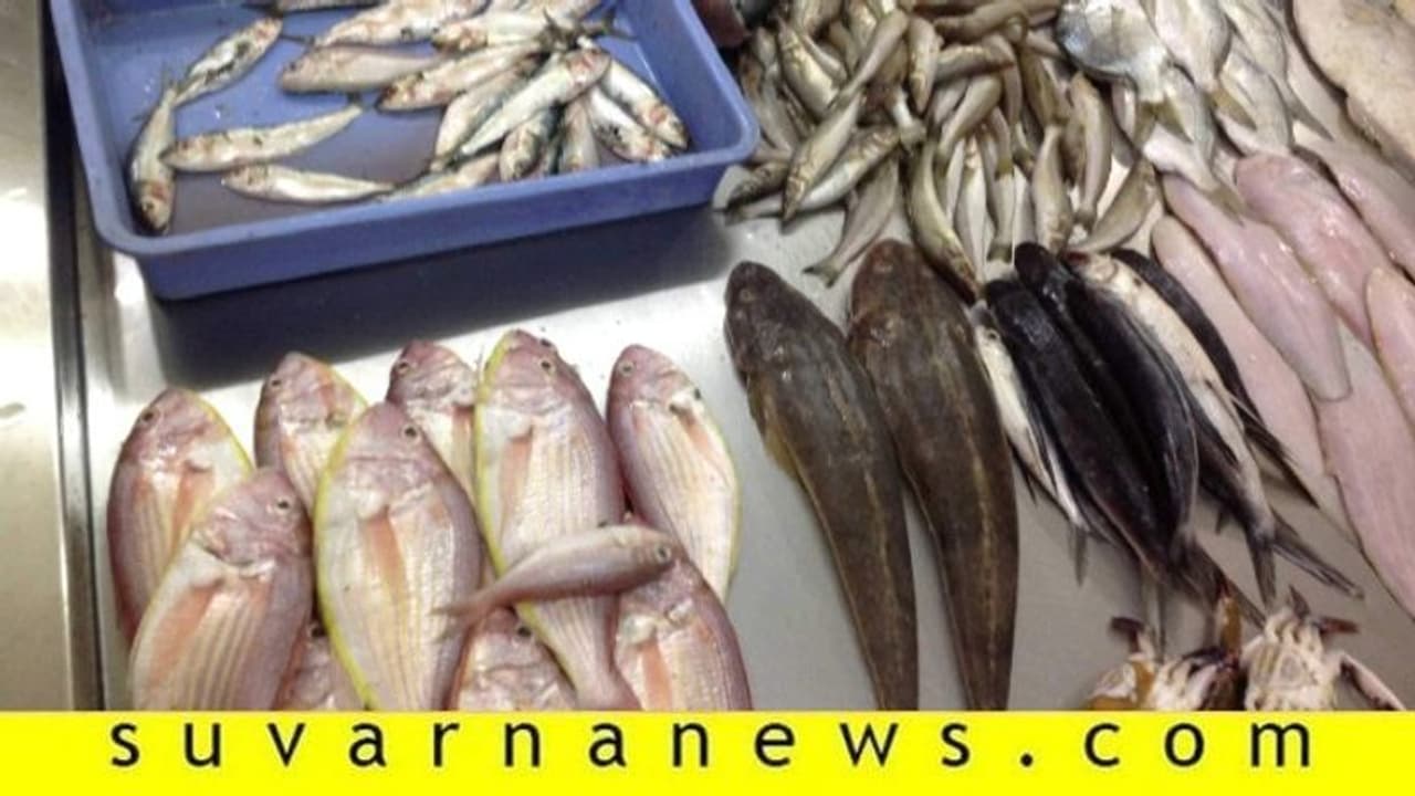 ಲಾಕ್ಡೌನ್ ಮಧ್ಯೆ ಮೀನು ಮಾರಾಟಕ್ಕೆ ಪೈಪೋಟಿ, ಹೊಳೆ ಮೀನಿಗೆ ಭಾರೀ ಡಿಮ್ಯಾಂಡ್ ಲಾಕ್ಡೌನ್ ಮಧ್ಯೆ ಮೀನು ಮಾರಾಟಕ್ಕೆ ಪೈಪೋಟಿ, ಹೊಳೆ ಮೀನಿಗೆ ಭಾರೀ ಡಿಮ್ಯಾಂಡ್