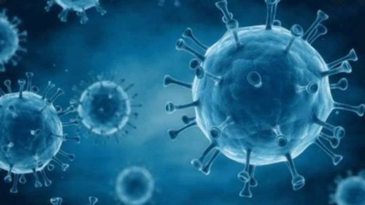 ഡയാലിസിസ് കഴിഞ്ഞ് വീട്ടിലെത്തി, രാത്രി കടുത്ത പനിയും ശ്വാസംമുട്ടലും അനുഭവപ്പെട്ടു, 50 കാരിക്ക് സംഭവിച്ചത്... ഡയാലിസിസ് കഴിഞ്ഞ് വീട്ടിലെത്തി, രാത്രി കടുത്ത പനിയും ശ്വാസംമുട്ടലും അനുഭവപ്പെട്ടു, 50 കാരിക്ക് സംഭവിച്ചത്...