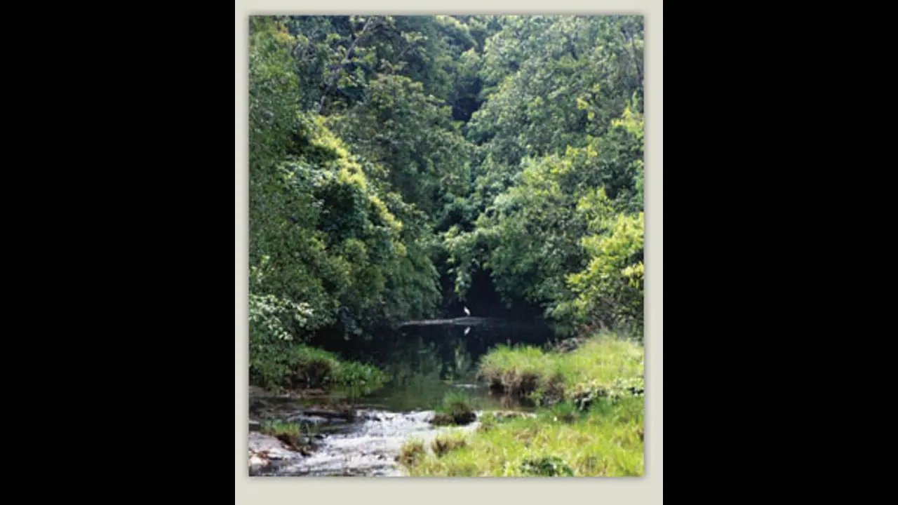 World Environment Day 2020: Plastic based baby wipes are big concern World Environment Day 2020: Plastic based baby wipes are big concern