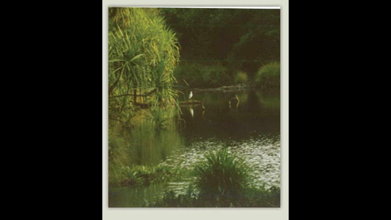 ಕೊಡಗು ಪ್ರವಾಸೋದ್ಯಮ ಮತ್ತೆ ಆರಂಭ: ಮಾರ್ಗ ಸೂಚಿಗಳು ಹೀಗಿವೆ ಕೊಡಗು ಪ್ರವಾಸೋದ್ಯಮ ಮತ್ತೆ ಆರಂಭ: ಮಾರ್ಗ ಸೂಚಿಗಳು ಹೀಗಿವೆ