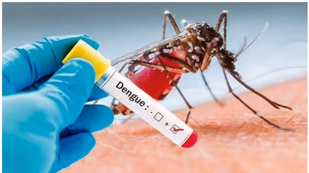 Dengue Fever : 'ഡെങ്കിപ്പനി ബാധിച്ചവരില്‍ വ്യാപകമായി കാണുന്ന മറ്റൊരു പ്രശ്നം'