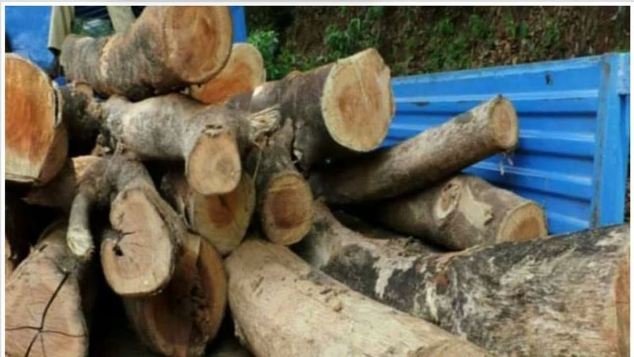 റോഡ് മണ്ണിട്ടച്ചതിന് പിന്നാലെ പ്രകോപനവുമായി കർണാടക; കേരളം മുറിച്ചിട്ട മരം കടത്തിക്കൊണ്ടുപോയി റോഡ് മണ്ണിട്ടച്ചതിന് പിന്നാലെ പ്രകോപനവുമായി കർണാടക; കേരളം മുറിച്ചിട്ട മരം കടത്തിക്കൊണ്ടുപോയി