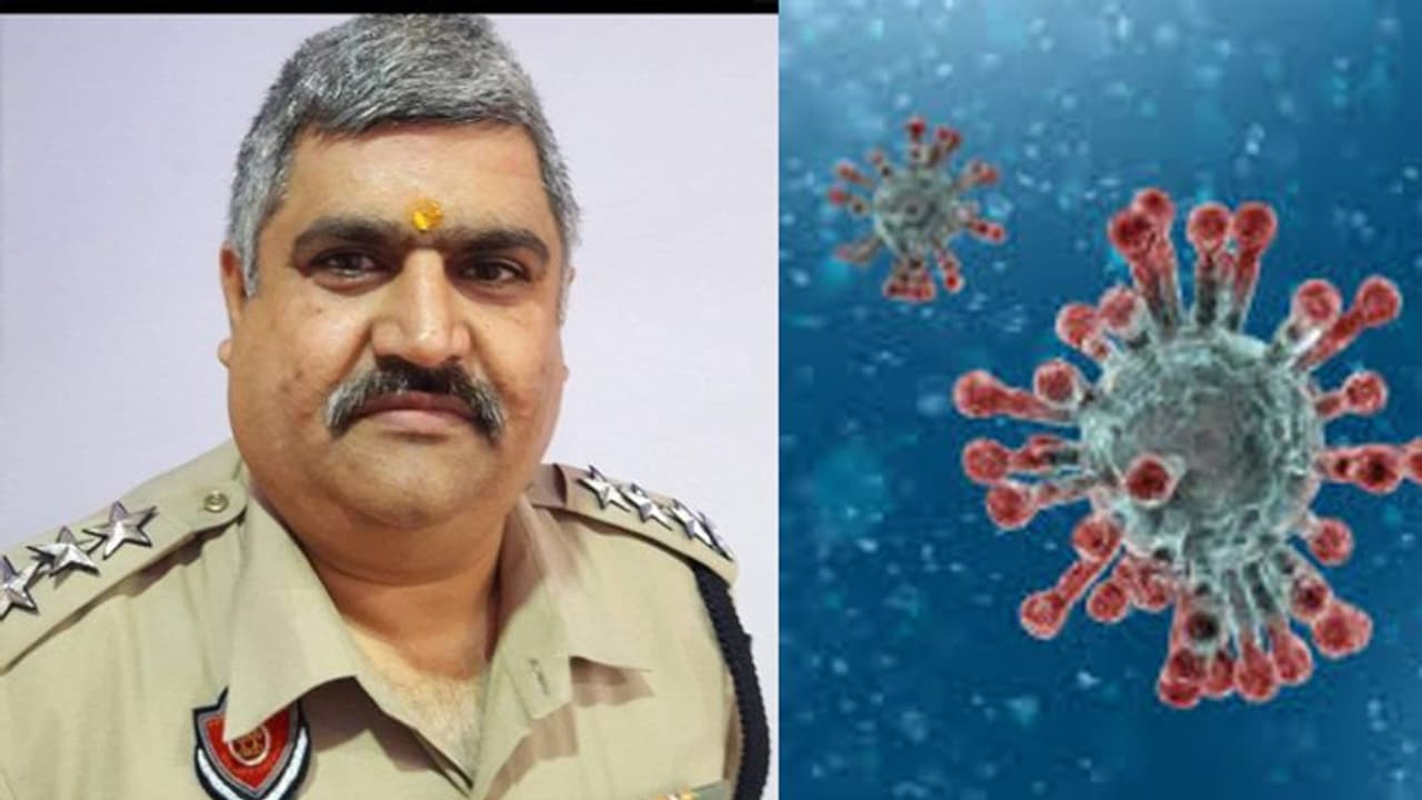 कोरोना ने लुधियाना एसीपी की ले ली जान, 8 अप्रैल को तबीयत बिगड़ी, 10 दिन बाद तोड़ा दम कोरोना ने लुधियाना एसीपी की ले ली जान, 8 अप्रैल को तबीयत बिगड़ी, 10 दिन बाद तोड़ा दम