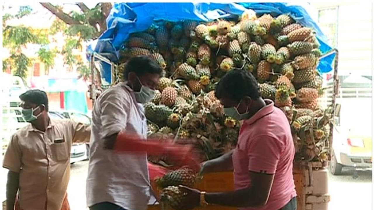 കര്ഷകര്ക്ക് കൈത്താങ്ങ്; പൈനാപ്പിള് ചലഞ്ചുമായി കൃഷിവകുപ്പ് കര്ഷകര്ക്ക് കൈത്താങ്ങ്; പൈനാപ്പിള് ചലഞ്ചുമായി കൃഷിവകുപ്പ്