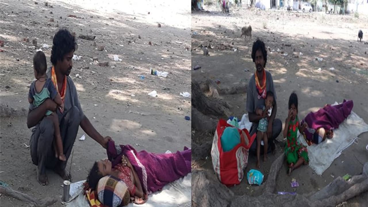 ఓవైపు లాక్ డౌన్, మరోవైపు అనారోగ్యం...చెట్టుకిందే ప్రాణాలు వదిలిన నిరుపేద మహిళ (వీడియో)