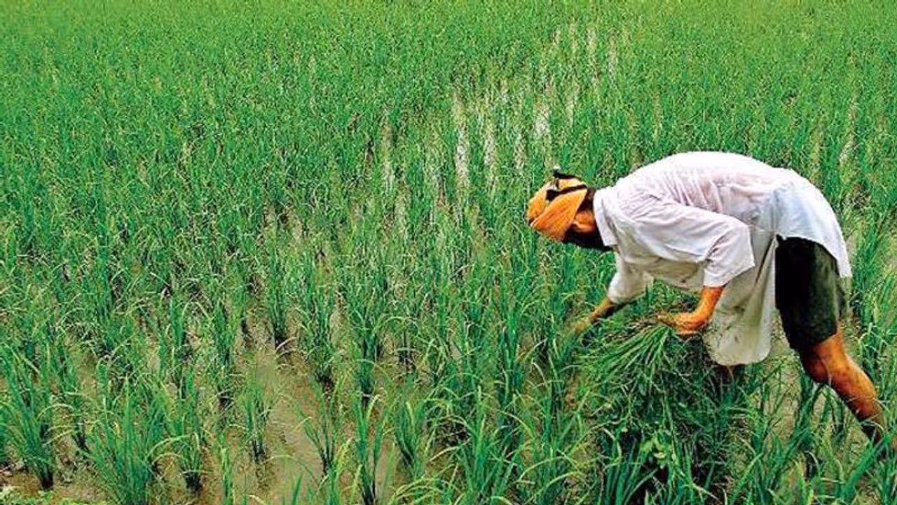 कोरोना संकट के बीच सब्सिडी को लेकर राजस्थान में भाजपा और कांग्रेस के बीच छिड़ा युद्ध