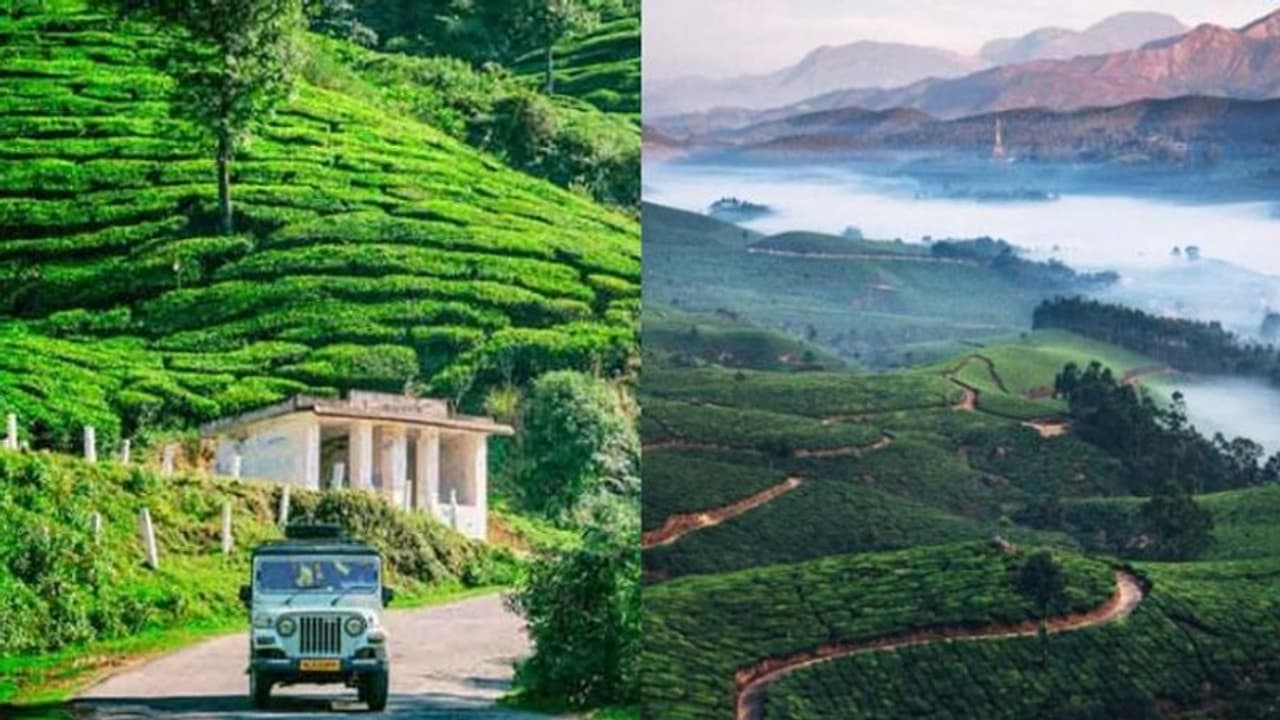 ലോക്ക്ഡൗൺ: 21 മുതല് ഇടുക്കി സാധാരണ ജീവിതത്തിലേക്ക്; നിയന്ത്രണങ്ങള് ഇങ്ങനെ ലോക്ക്ഡൗൺ: 21 മുതല് ഇടുക്കി സാധാരണ ജീവിതത്തിലേക്ക്; നിയന്ത്രണങ്ങള് ഇങ്ങനെ