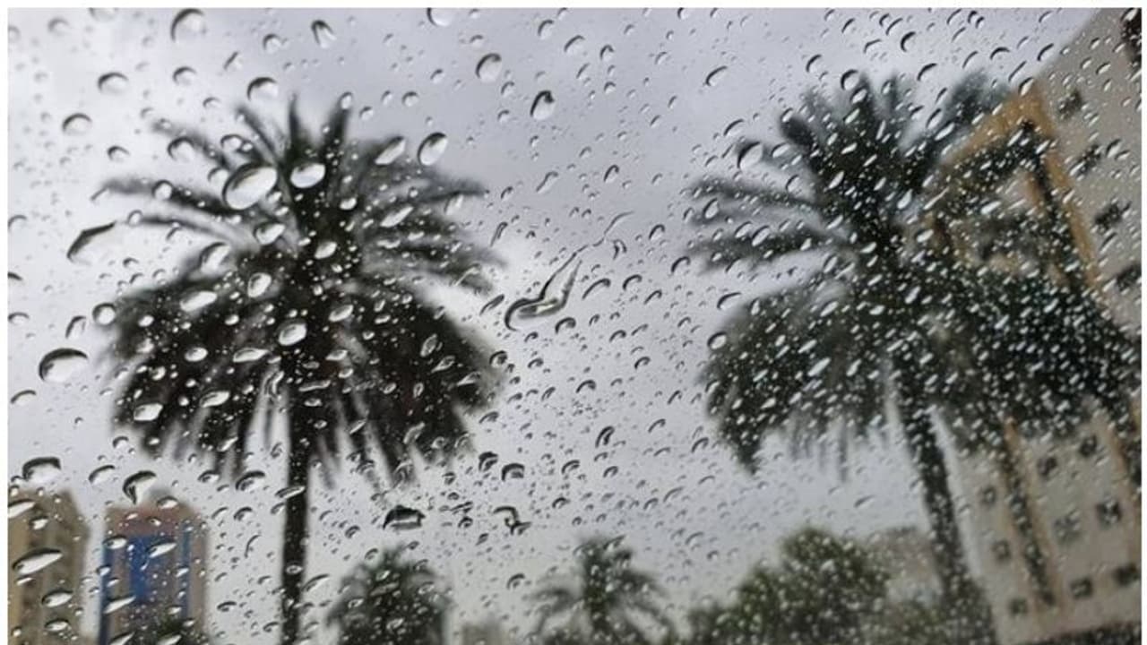 ಕೊಡಗಿನಲ್ಲಿ ವಾಡಿಕೆಗಿಂತ ಶೇ.40ರಷ್ಟುಮಳೆ ಕೊರತೆ!