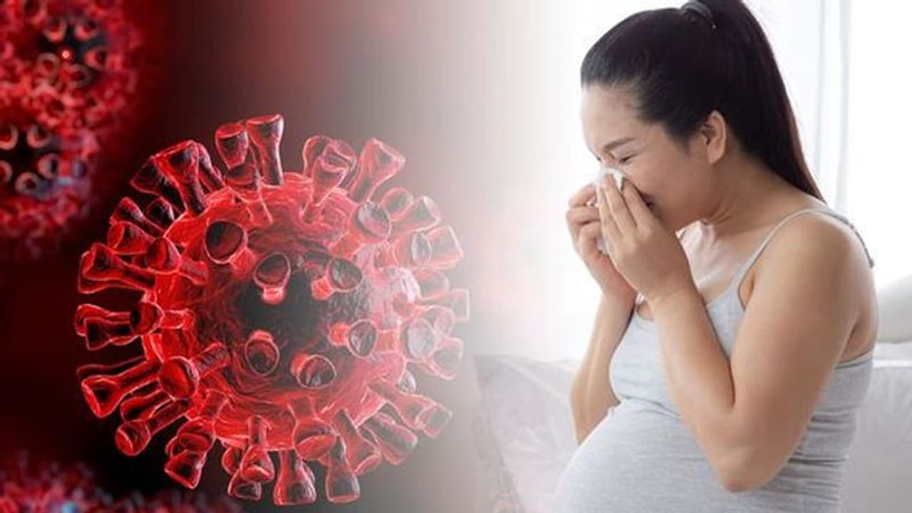 சென்னையில் சமூக பரவலான கொரோனா... 9 மாத கர்ப்பிணி, சூப்பர் மார்க்கெட் உரிமையாளர் குடும்பத்தினரும் பாதிப்பு..! சென்னையில் சமூக பரவலான கொரோனா... 9 மாத கர்ப்பிணி, சூப்பர் மார்க்கெட் உரிமையாளர் குடும்பத்தினரும் பாதிப்பு..!