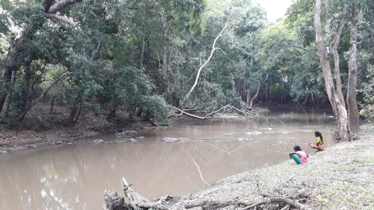 വയനാട്ടില്‍ പൊലീസിന് വെല്ലുവിളിയായി കാട്ടുപാതകള്‍; ഈ വഴി ജില്ലയിലെത്തുന്നവര്‍ക്കെതിരെ നടപടിയെന്ന് കളക്ടര്‍
