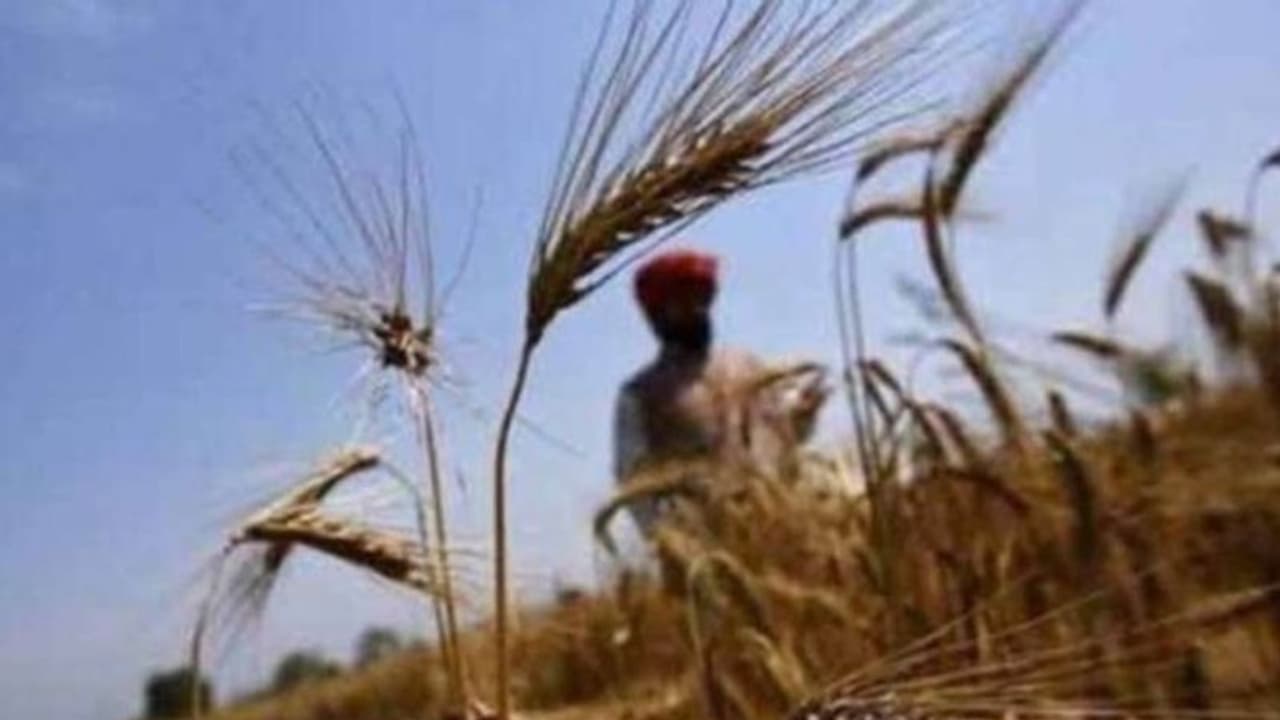 ലോക്ക്ഡൗൺ: ഭക്ഷണത്തിന് ബുദ്ധിമുട്ടുന്നവരെ സഹായിക്കാൻ 50ലക്ഷം നൽകി കർഷകൻ, അകറ്റിയത് 6000 കുടുംബങ്ങളുടെ വിശപ്പ് ലോക്ക്ഡൗൺ: ഭക്ഷണത്തിന് ബുദ്ധിമുട്ടുന്നവരെ സഹായിക്കാൻ 50ലക്ഷം നൽകി കർഷകൻ, അകറ്റിയത് 6000 കുടുംബങ്ങളുടെ വിശപ്പ്