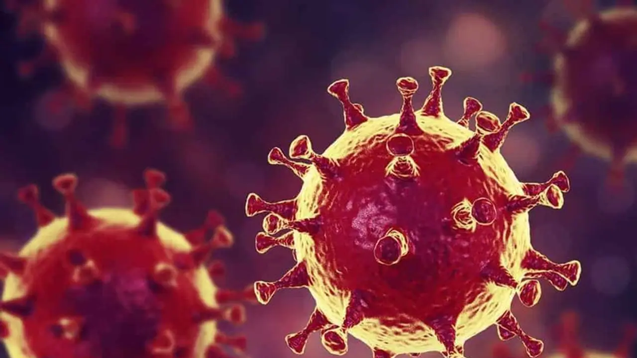 ఏపీలో కరోనా విజృంభణ: కొత్తగా 35 కేసులు, మొత్తం 757కి చేరిక ఏపీలో కరోనా విజృంభణ: కొత్తగా 35 కేసులు, మొత్తం 757కి చేరిక