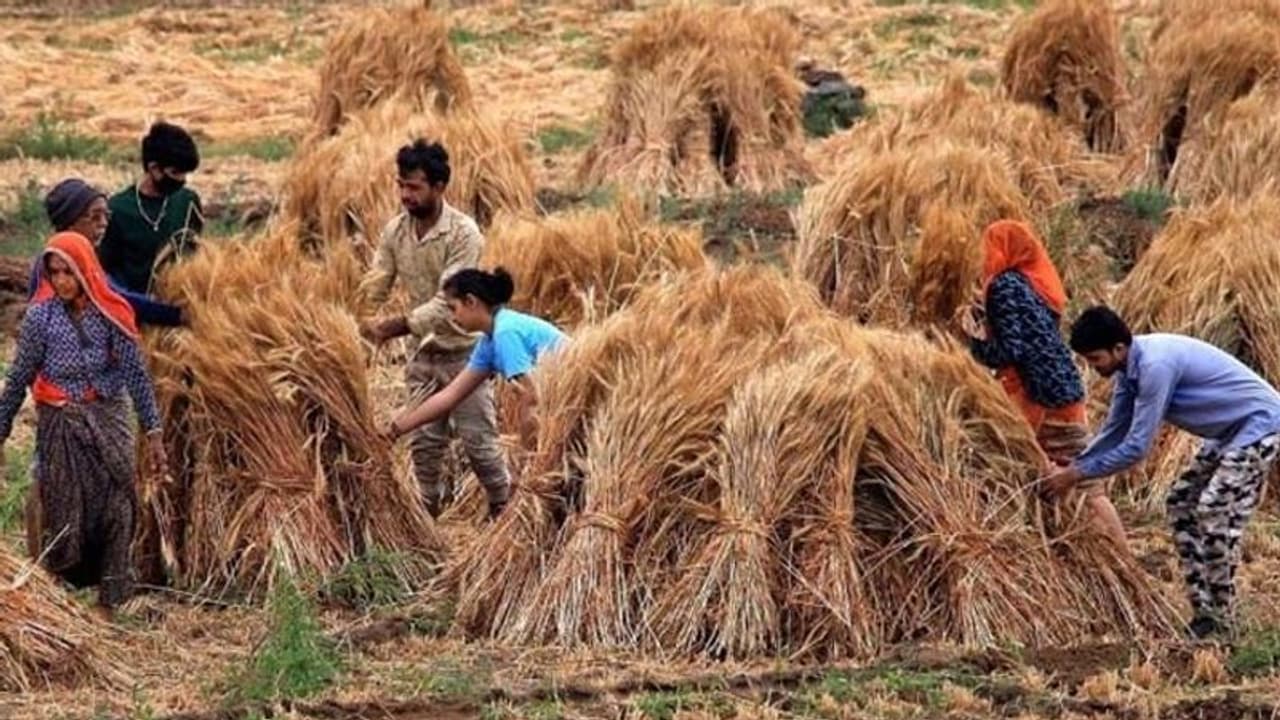 लॉकडाउन 2.0 में किसानों को बड़ी रियायत, अब कर सकेंगे ये सब काम लॉकडाउन 2.0 में किसानों को बड़ी रियायत, अब कर सकेंगे ये सब काम