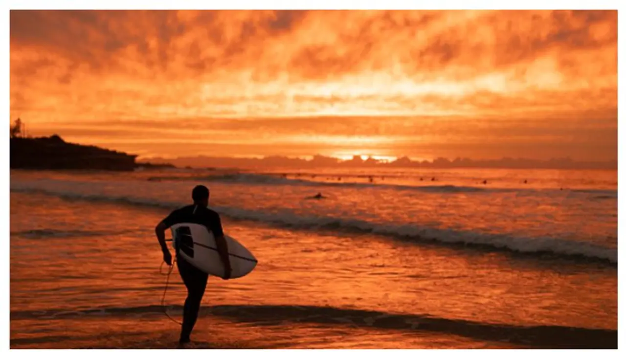 আশা জাগিয়ে সিডনিতে খুলল সমুদ্র সৈকত, অ্যাডিলেইডের রাজপথে খেলায় ব্যস্ত ক্যাঙ্গারু আশা জাগিয়ে সিডনিতে খুলল সমুদ্র সৈকত, অ্যাডিলেইডের রাজপথে খেলায় ব্যস্ত ক্যাঙ্গারু