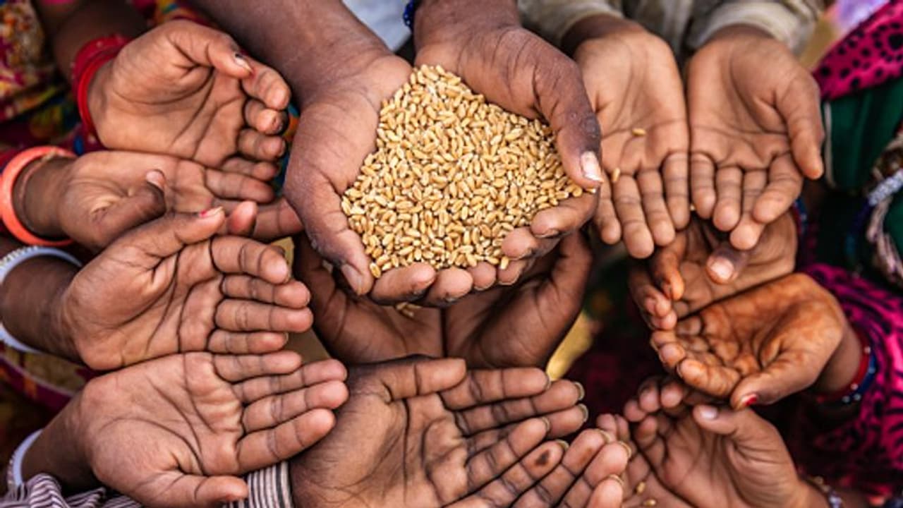 Flawed, devoid of ground reality: India rubbishes Global Hunger Report 2021