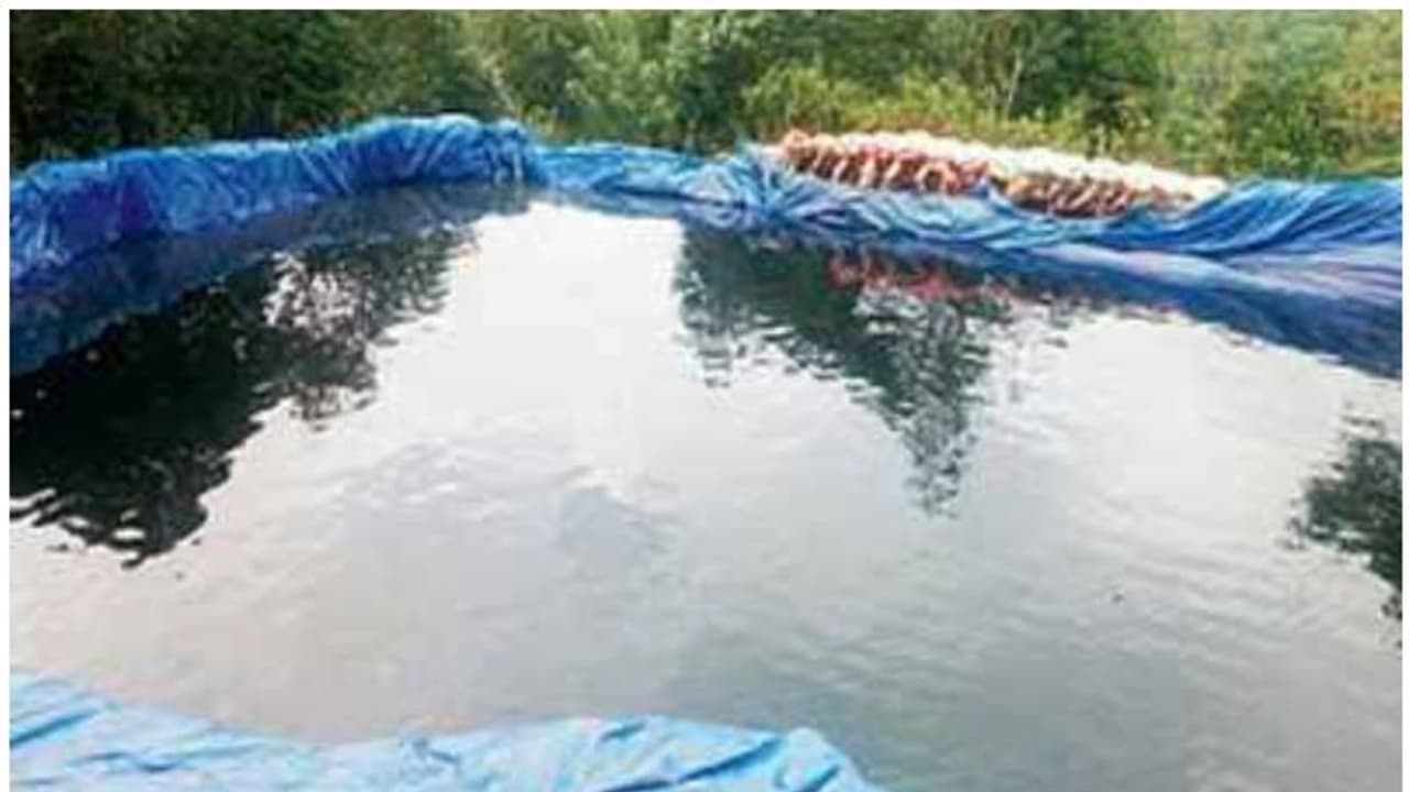 ഇടുക്കിയില് ജലക്ഷാമം രൂക്ഷമായ പ്രദേശത്തെ കുളത്തില് അജ്ഞാതര് വിഷം കലര്ത്തി ഇടുക്കിയില് ജലക്ഷാമം രൂക്ഷമായ പ്രദേശത്തെ കുളത്തില് അജ്ഞാതര് വിഷം കലര്ത്തി