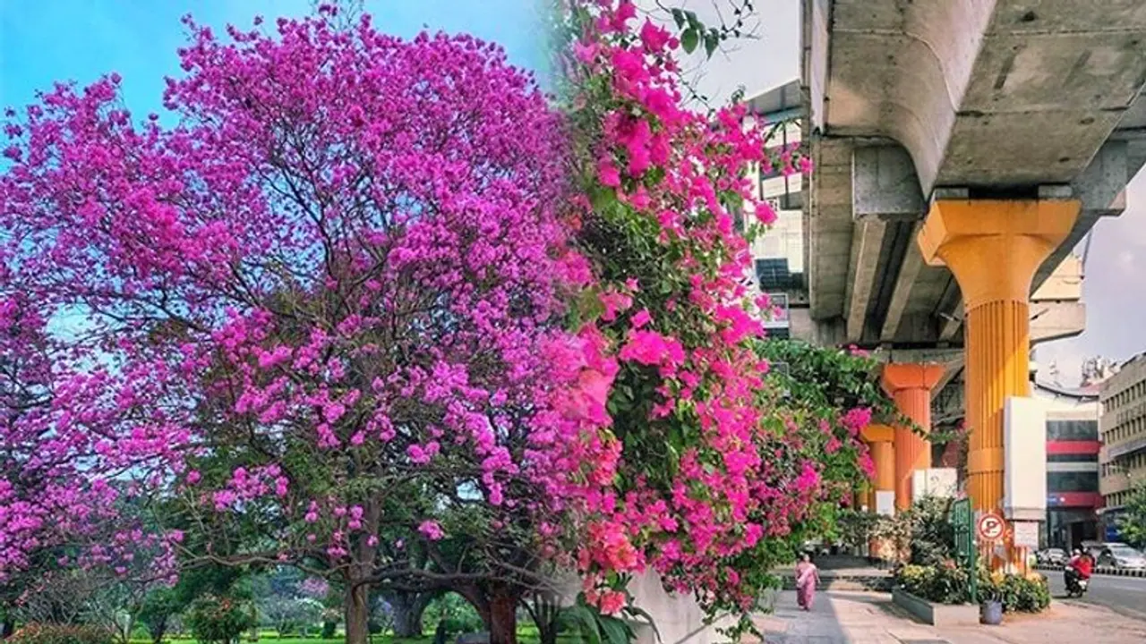Re visioning a green Bengaluru for 2030