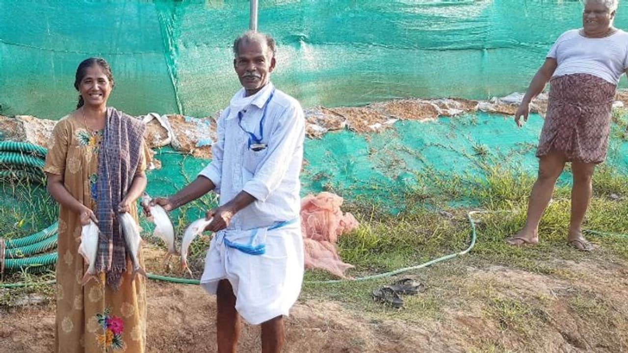 ലോക്ക് ഡൗൺ: കൂട്ടായ്മയില് നേട്ടം കൊയ്ത് ജനകീയ മത്സ്യകൃഷി ലോക്ക് ഡൗൺ: കൂട്ടായ്മയില് നേട്ടം കൊയ്ത് ജനകീയ മത്സ്യകൃഷി