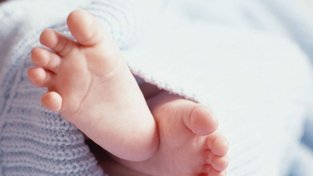 നിറഗര്ഭിണിയുമായി കുടിയേറ്റ തൊഴിലാളി നടന്നത് 100 കി.മി; പാതിവഴിയില് പ്രസവിച്ചു, കുഞ്ഞ് മരിച്ചു നിറഗര്ഭിണിയുമായി കുടിയേറ്റ തൊഴിലാളി നടന്നത് 100 കി.മി; പാതിവഴിയില് പ്രസവിച്ചു, കുഞ്ഞ് മരിച്ചു