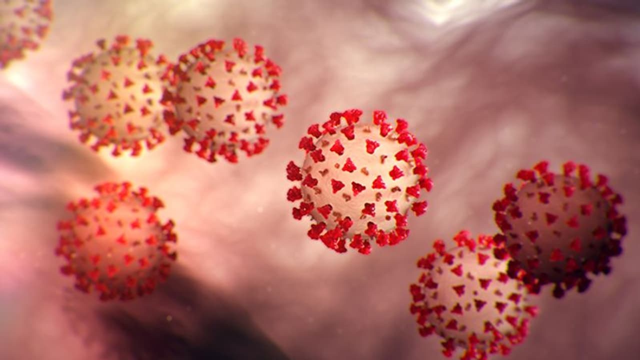 సూర్యాపేటలో కరోనా విజృంభణ: సీఎం కేసీఆర్ సీరియస్