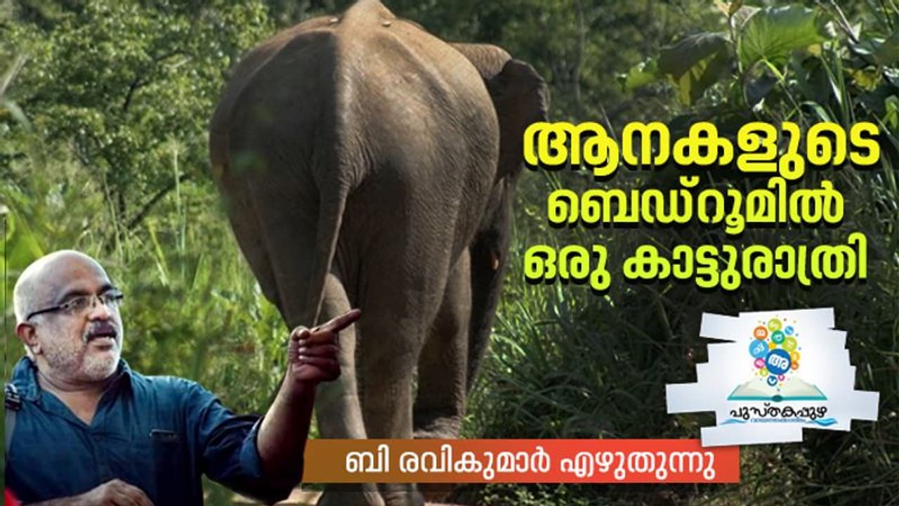 രണ്ടാമത്തെ പടക്കം പൊട്ടിയതും ഒരു ചിന്നം വിളിയുയര്‍ന്നു, അതോടെ കാടുനിശ്ചലം...