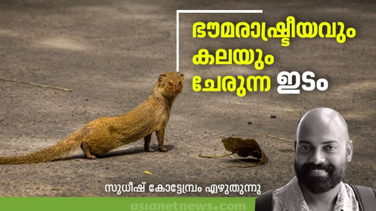 സീബ്രാവരകള്‍ മുറിച്ചുകടക്കുന്ന വെരുക്