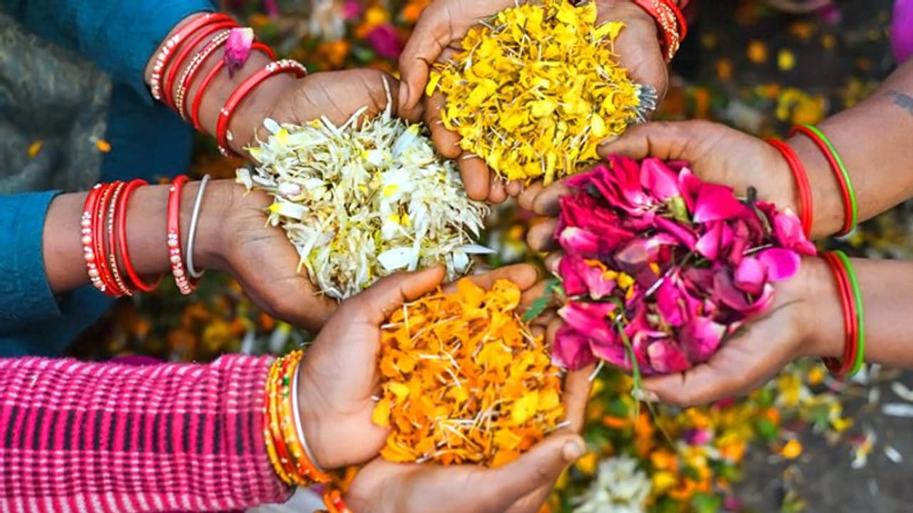 देवताओं को उनकी पसंद के फूल चढ़ाने से पूरी हो सकती है मनोकामनाएं, जानें किसे चढ़ाएं कौनसा फूल देवताओं को उनकी पसंद के फूल चढ़ाने से पूरी हो सकती है मनोकामनाएं, जानें किसे चढ़ाएं कौनसा फूल