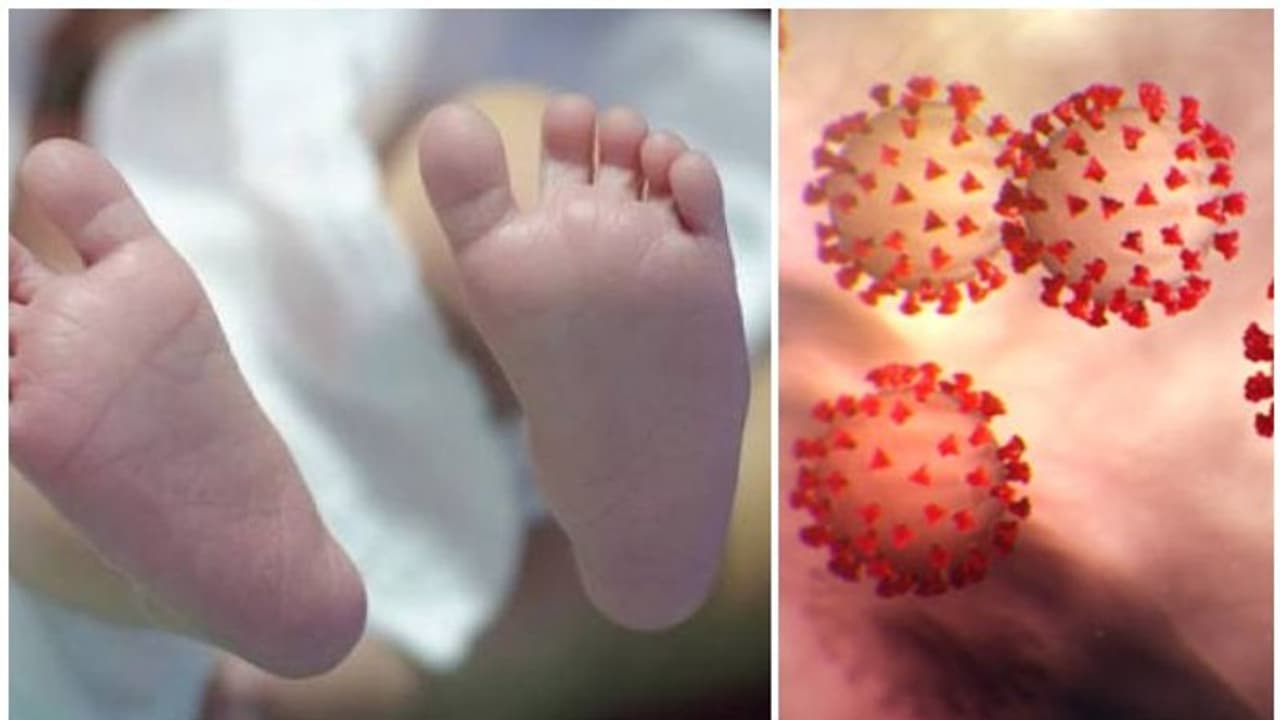 6 month old diagnosed with coronavirus dies