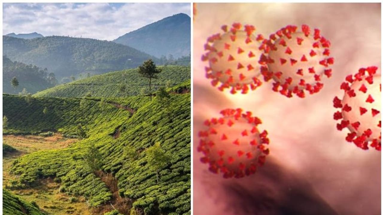 ഇടുക്കിയിൽ ജനപ്രതിനിധി അടക്കം മൂന്നുപേർക്ക് പുതുതായി രോഗം സ്ഥിരീകരിച്ചെന്ന് ജില്ലാ കളക്ടർ ഇടുക്കിയിൽ ജനപ്രതിനിധി അടക്കം മൂന്നുപേർക്ക് പുതുതായി രോഗം സ്ഥിരീകരിച്ചെന്ന് ജില്ലാ കളക്ടർ