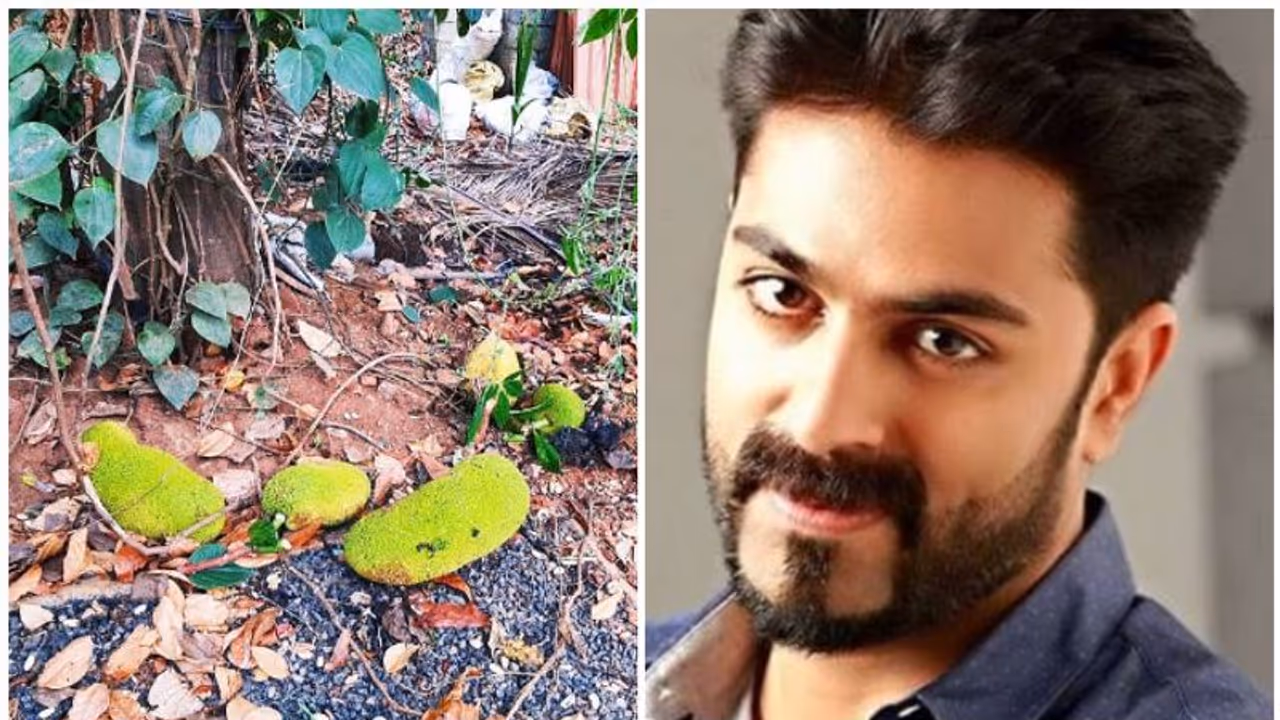 ഒരു പൂവ് ചോദിച്ചാല് പ്രകൃതി ഒരു പൂക്കാലം തരും!; പുതിയ ജീവിത തത്വമെന്ന് ജിപി ഒരു പൂവ് ചോദിച്ചാല് പ്രകൃതി ഒരു പൂക്കാലം തരും!; പുതിയ ജീവിത തത്വമെന്ന് ജിപി