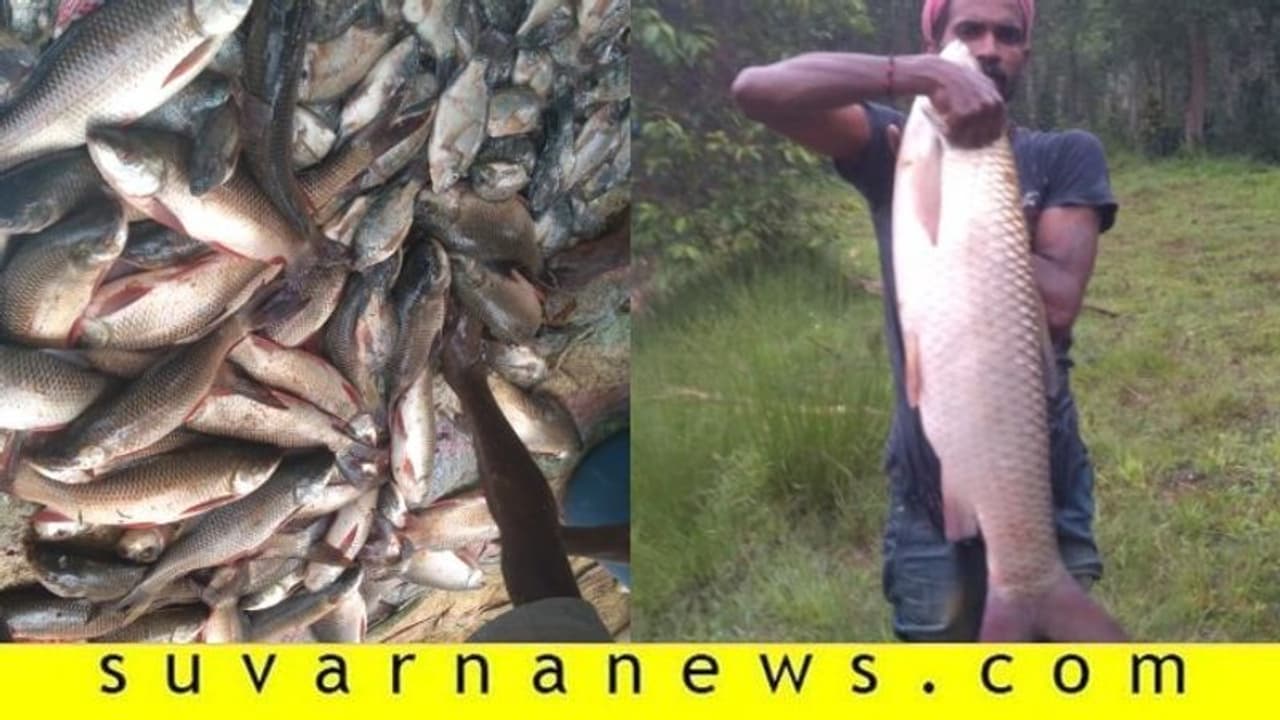 ಲಾಕ್‌ಡೌನ್: ಮೀನು ಮಾರಿ ಎರಡು ದಿನದಲ್ಲಿ ಆರು ಲಕ್ಷ ಆದಾಯ..!