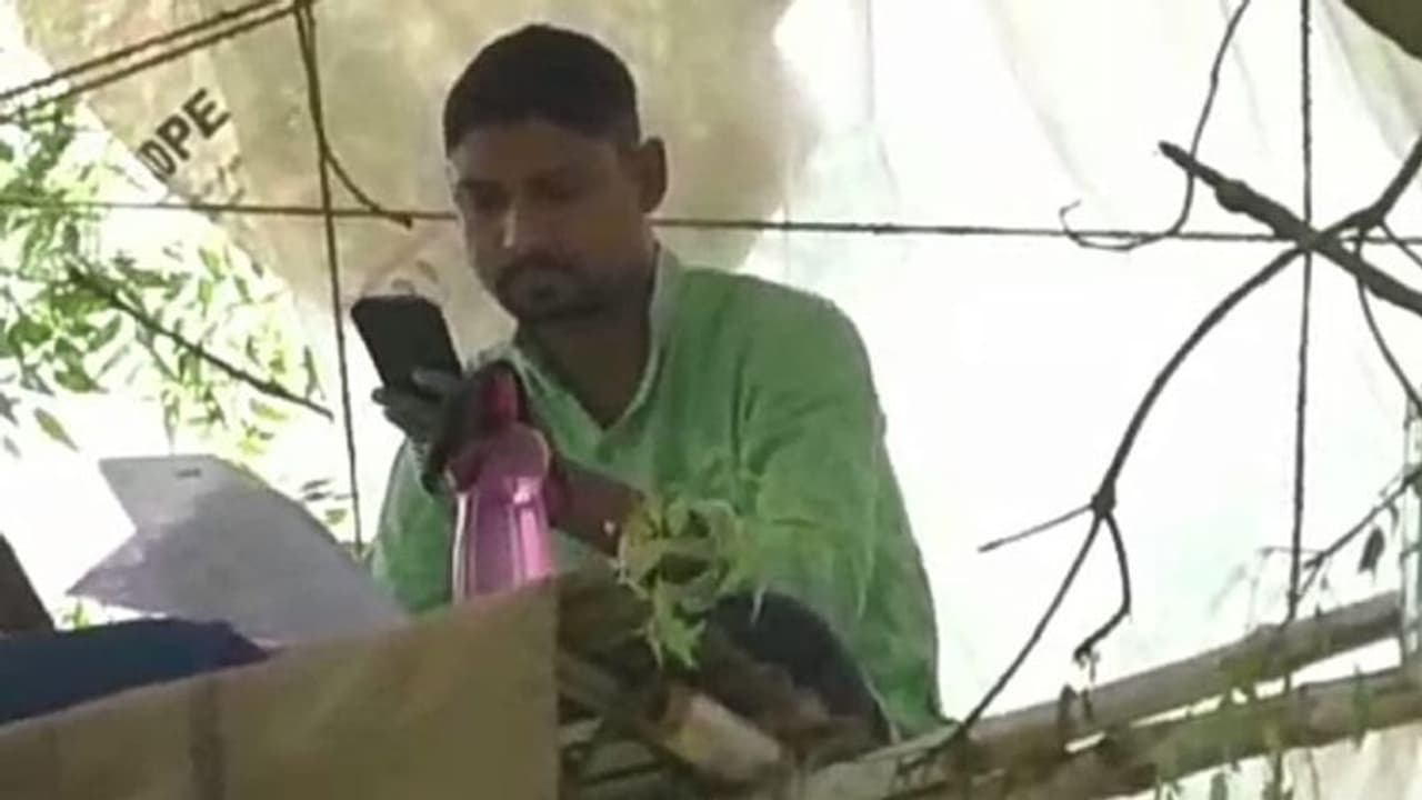 লকডাউনের বাজারে ভরসা গাছ, 'ওয়ার্ক ফ্রম ট্রি' করছেন বাঁকুড়ার যুবক লকডাউনের বাজারে ভরসা গাছ, 'ওয়ার্ক ফ্রম ট্রি' করছেন বাঁকুড়ার যুবক