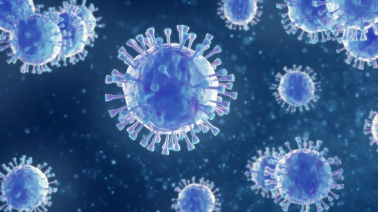 കൊവിഡ് 19; കാൻസർ രോഗികൾ സ്വീകരിക്കേണ്ട മുൻകരുതലുകൾ കൊവിഡ് 19; കാൻസർ രോഗികൾ സ്വീകരിക്കേണ്ട മുൻകരുതലുകൾ