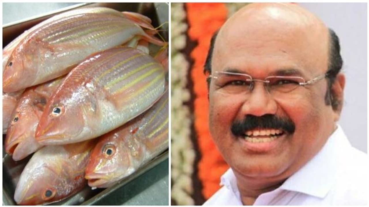 மீன் வேண்டுமா? ஆன்லைனில் ஆர்டர் பண்ணுங்க..உங்க வீட்டுக்கே மீன் கொடுத்து அனுப்புறோம்..! அமைச்சர் அதிரடி! மீன் வேண்டுமா? ஆன்லைனில் ஆர்டர் பண்ணுங்க..உங்க வீட்டுக்கே மீன் கொடுத்து அனுப்புறோம்..! அமைச்சர் அதிரடி!