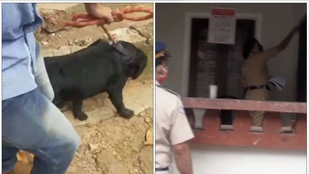 പാഴ്വസ്തു കത്തിക്കുന്നതിനിടെ സ്ഫോടനം; കോഴിക്കോട്ട് അച്ഛനും മകനും പരിക്കേറ്റു പാഴ്വസ്തു കത്തിക്കുന്നതിനിടെ സ്ഫോടനം; കോഴിക്കോട്ട് അച്ഛനും മകനും പരിക്കേറ്റു