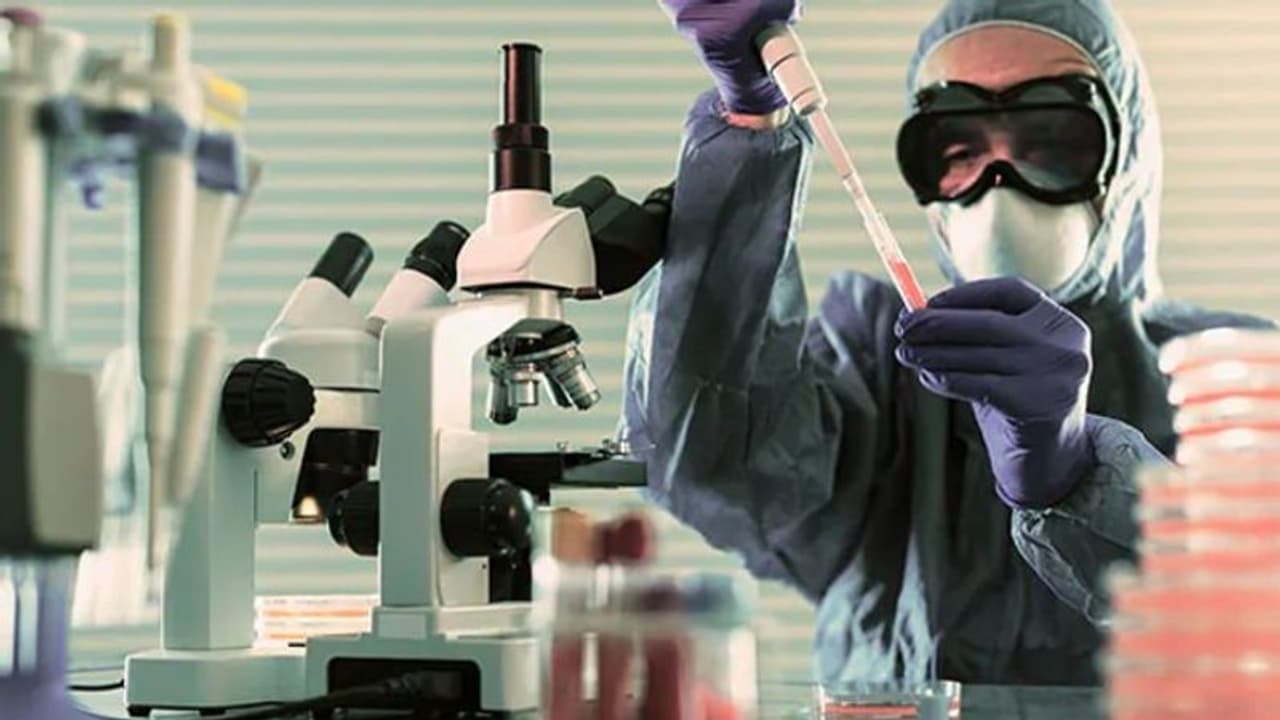 കൊവിഡ് 19 വാക്സിന് കണ്ടുപിടിച്ചാല് ചെയ്യേണ്ടത്; ലോകാരോഗ്യ സംഘടനയുടെ വന് പദ്ധതി കൊവിഡ് 19 വാക്സിന് കണ്ടുപിടിച്ചാല് ചെയ്യേണ്ടത്; ലോകാരോഗ്യ സംഘടനയുടെ വന് പദ്ധതി