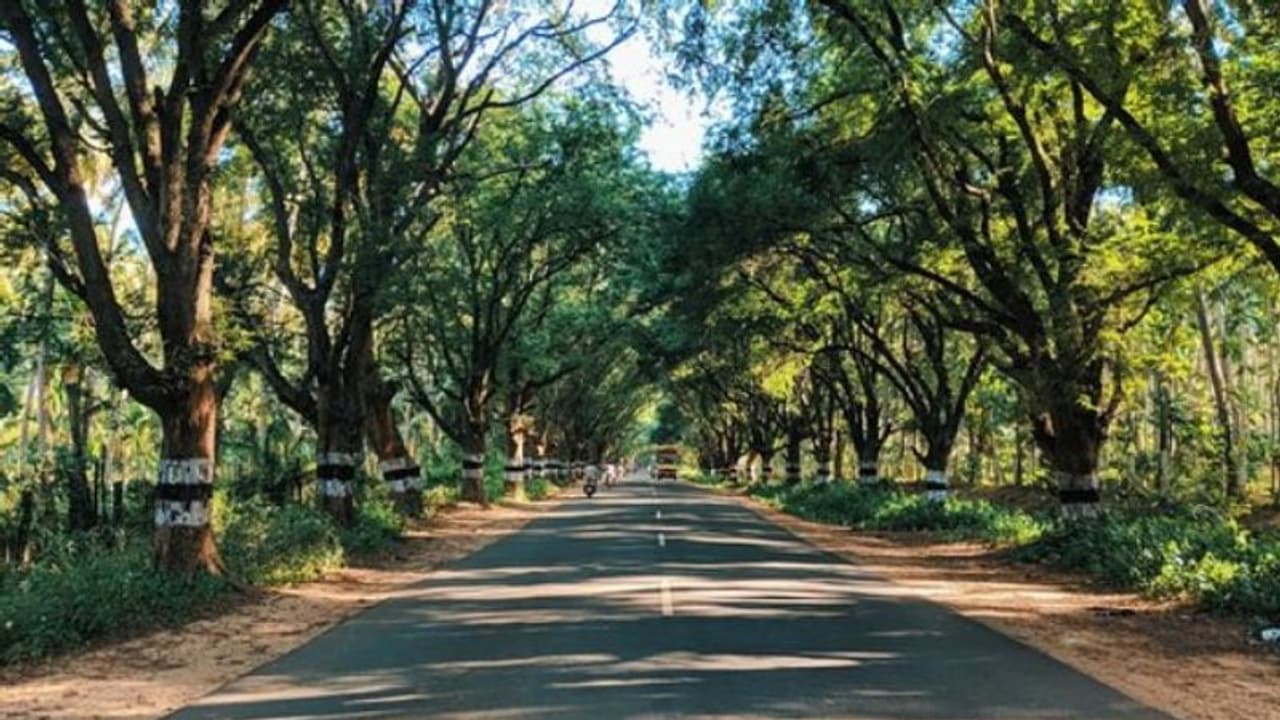 പൊള്ളാച്ചിയില് നിന്ന് മാര്ത്താണ്ഡത്തേക്ക് 325 കി.മീ. കാല്നടയാത്ര, വഴിയില് വച്ച് ക്വാറന്റൈനിലേക്ക് പൊള്ളാച്ചിയില് നിന്ന് മാര്ത്താണ്ഡത്തേക്ക് 325 കി.മീ. കാല്നടയാത്ര, വഴിയില് വച്ച് ക്വാറന്റൈനിലേക്ക്