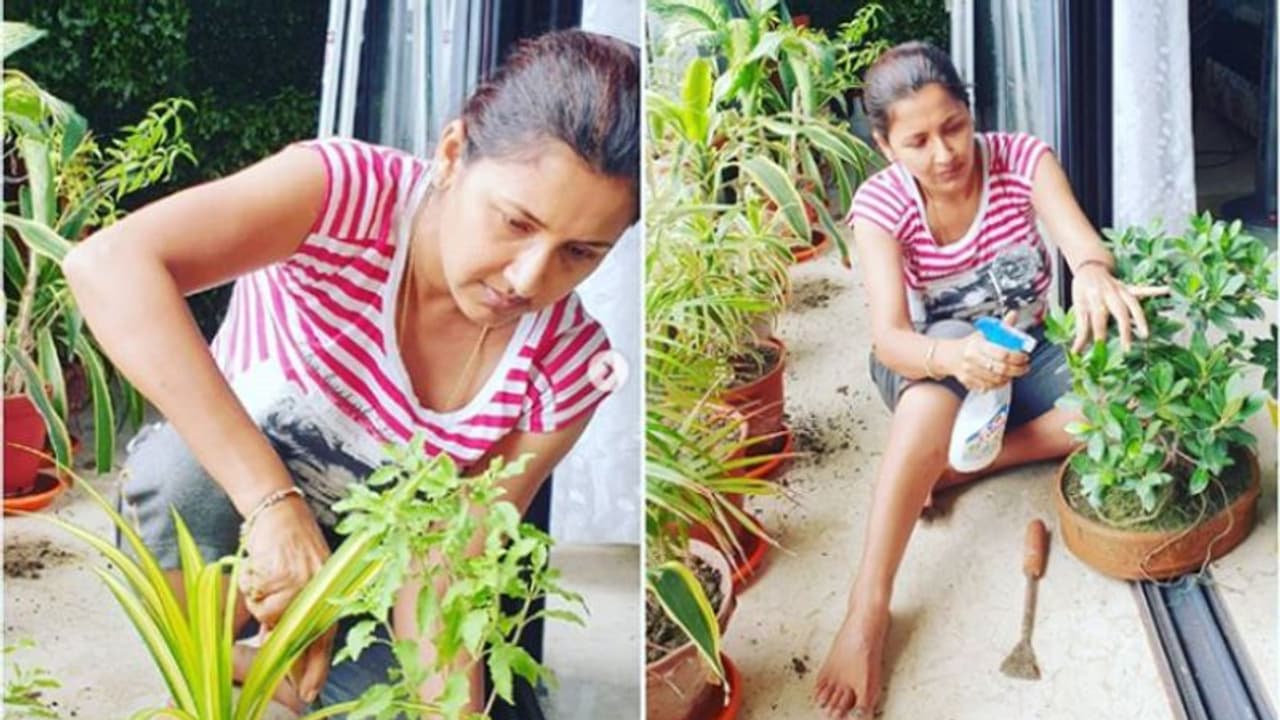 লকডাউনে গাছের পরিচর্যায় মন দিয়েছেন রচনা, নো মেক আপ লুকেই ভাইরাল হল ছবি লকডাউনে গাছের পরিচর্যায় মন দিয়েছেন রচনা, নো মেক আপ লুকেই ভাইরাল হল ছবি