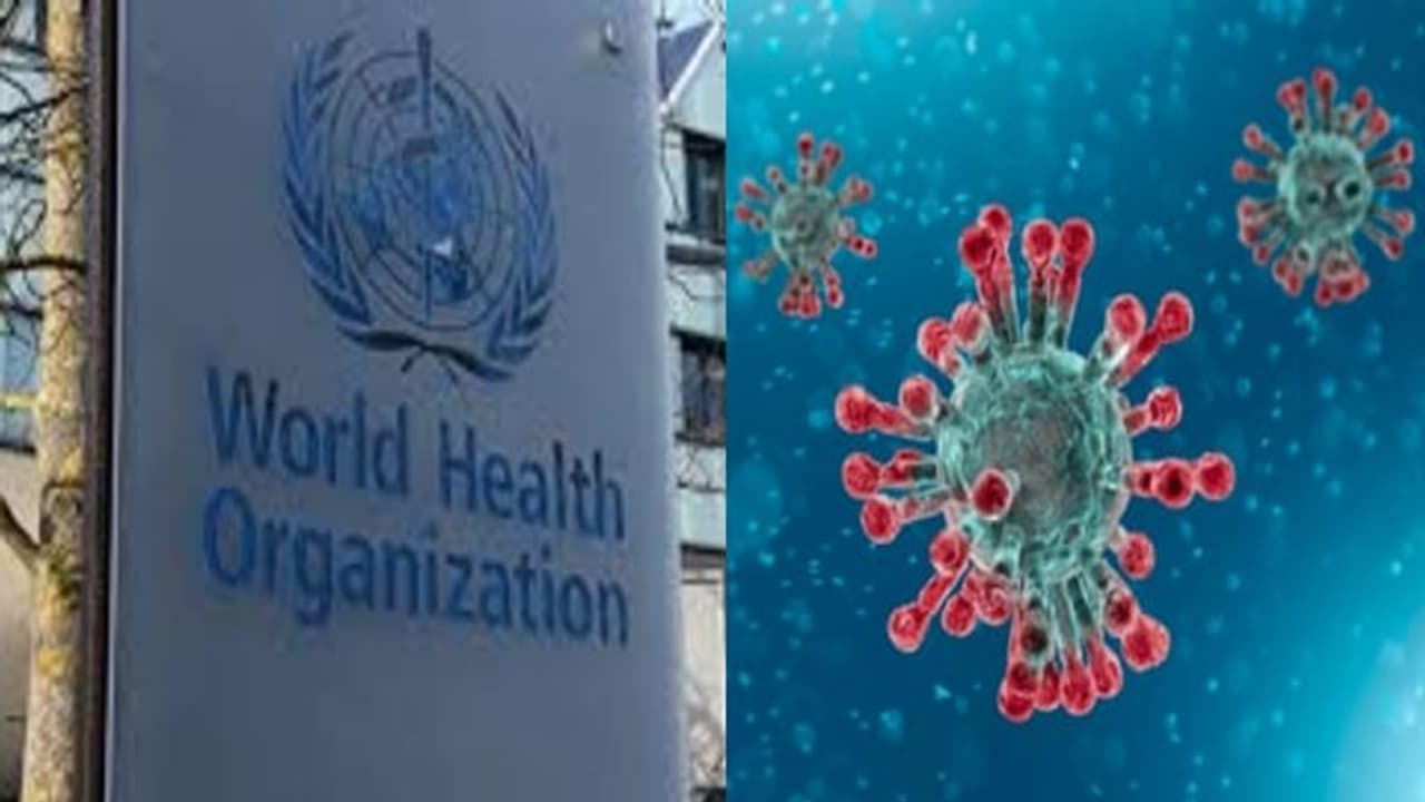 கொரோனாவிலிருந்து மீண்டவர்கள் மீண்டும் பாதிக்கப்படலாம்.. உலக சுகாதார அமைப்பு கடும் எச்சரிக்கை கொரோனாவிலிருந்து மீண்டவர்கள் மீண்டும் பாதிக்கப்படலாம்.. உலக சுகாதார அமைப்பு கடும் எச்சரிக்கை